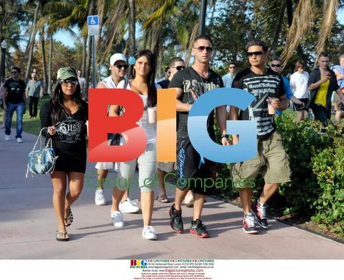 Jersey Shore cast in Miami