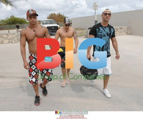 Jersey Shore Stars in Miami
