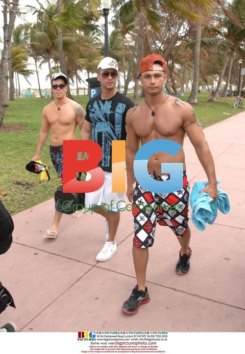 Jersey Shore Cast in Miami
