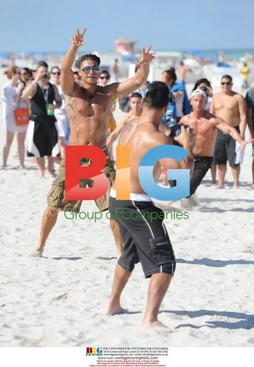 Jersey Shore Cast on Miami Beach