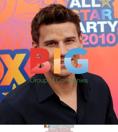 David Boreanaz at FOX All-Star Party