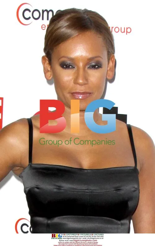Mel B at Comcast TCA Cocktail Reception