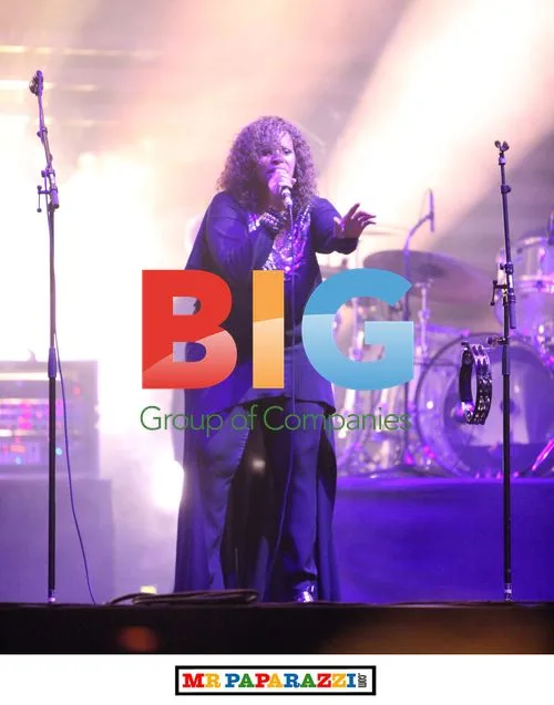 Massive Attack at Big Chill Festival