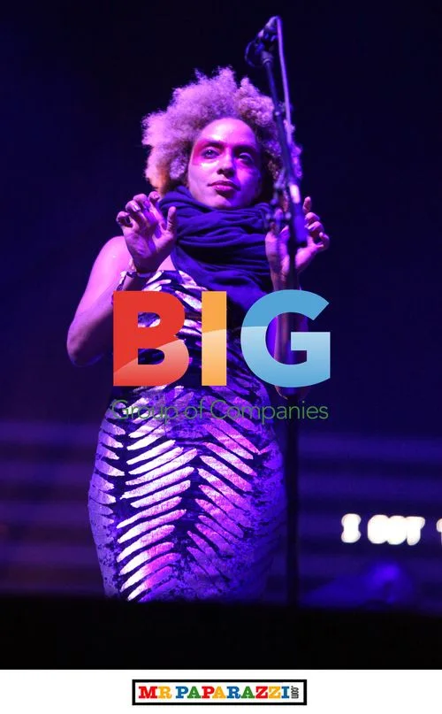 Massive Attack Perform at Big Chill Festival