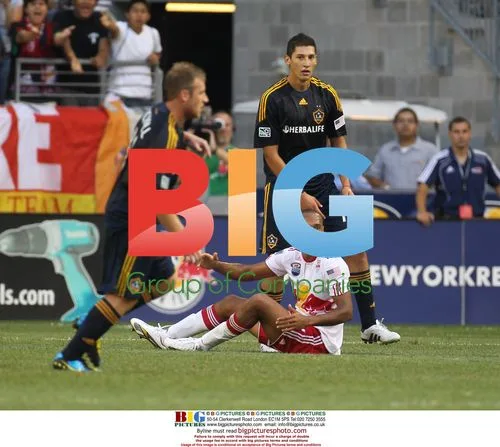 Celebrities at LA Galaxy vs NY Red Bulls