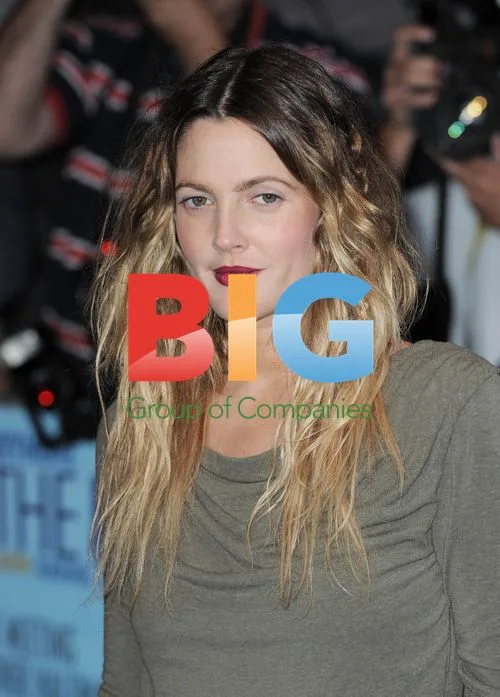 Drew Barrymore at 'Going the Distance' Premiere