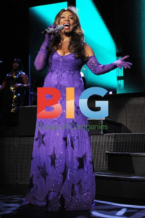 Singer Donna Summer Performs