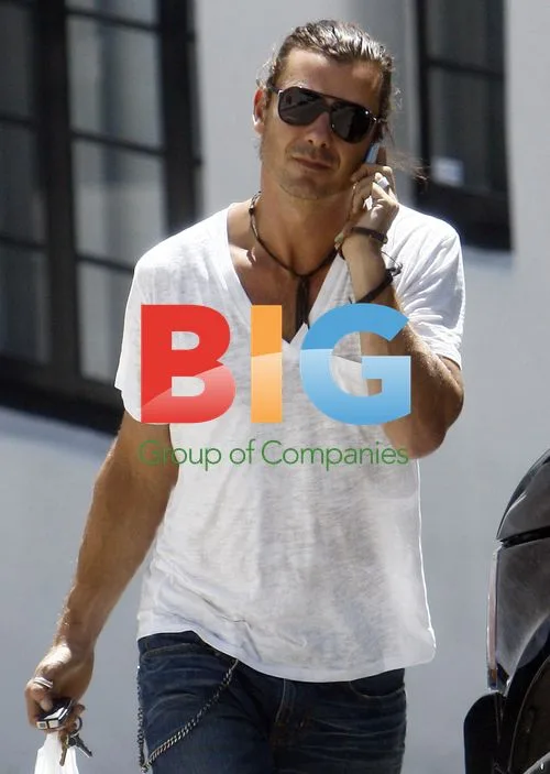 Gavin Rosedale Shopping in LA