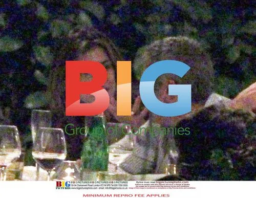 George Clooney and Elisabetta Canalis on Dinner Date