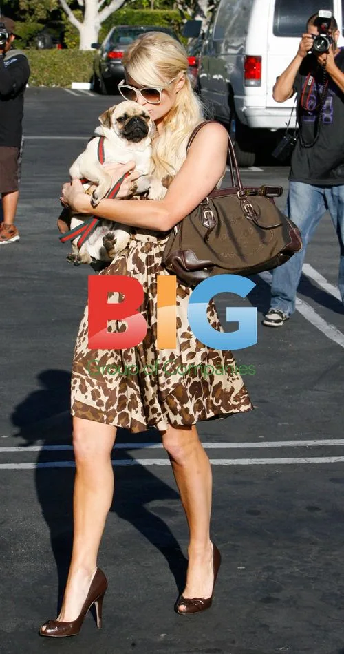 Paris Hilton shopping in West Hollywood