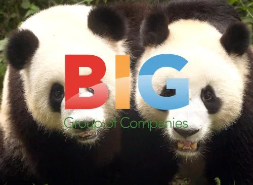 Giant Pandas at Breeding Center, China