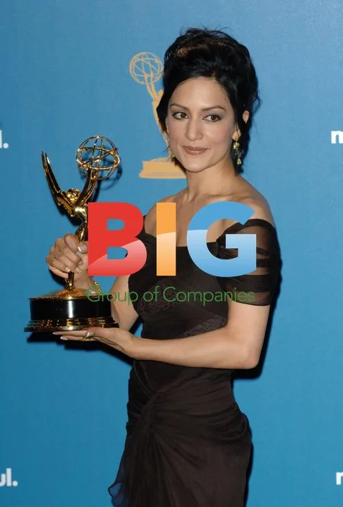 Archie Panjabi at 2010 Primetime Emmy Awards
