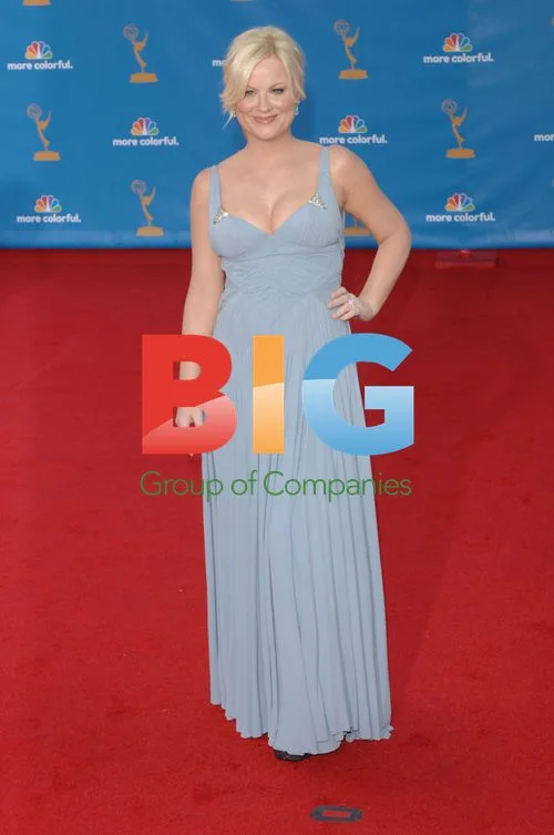 Amy Poehler at 62nd Primetime Emmys