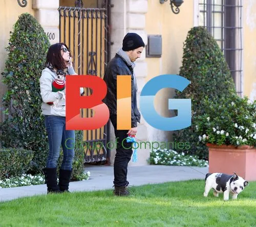 Ashley Greene and Joe Jonas Walk Dogs