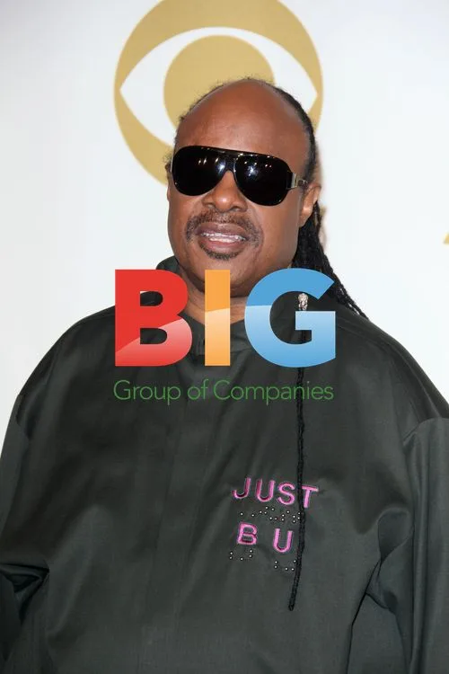 Stevie Wonder at GRAMMY Nominations Concert