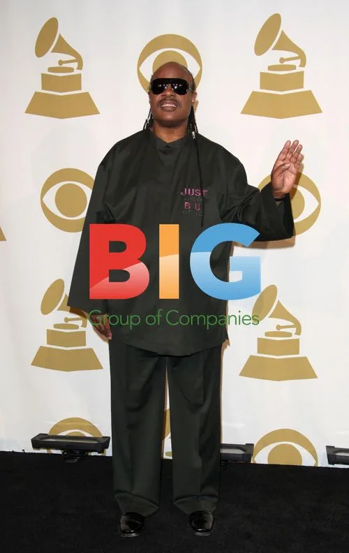 Stevie Wonder at GRAMMY Nominations Concert