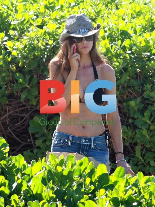 Denise Richards' Hawaiian Vacation