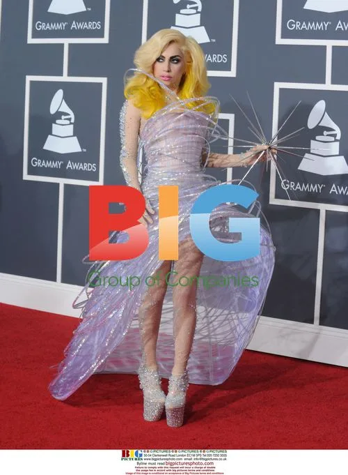 Lady GaGa at 2010 Grammy Awards