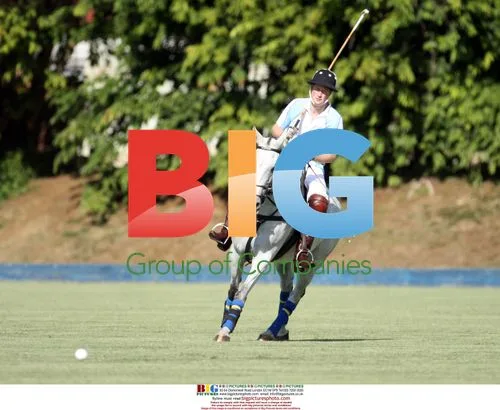Prince Harry Polo Player