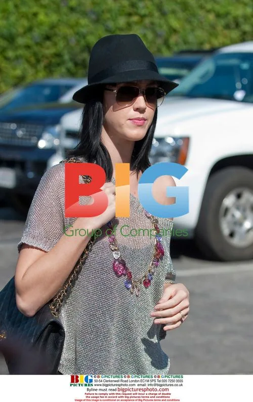 Katy Perry meets Perez Hilton for lunch