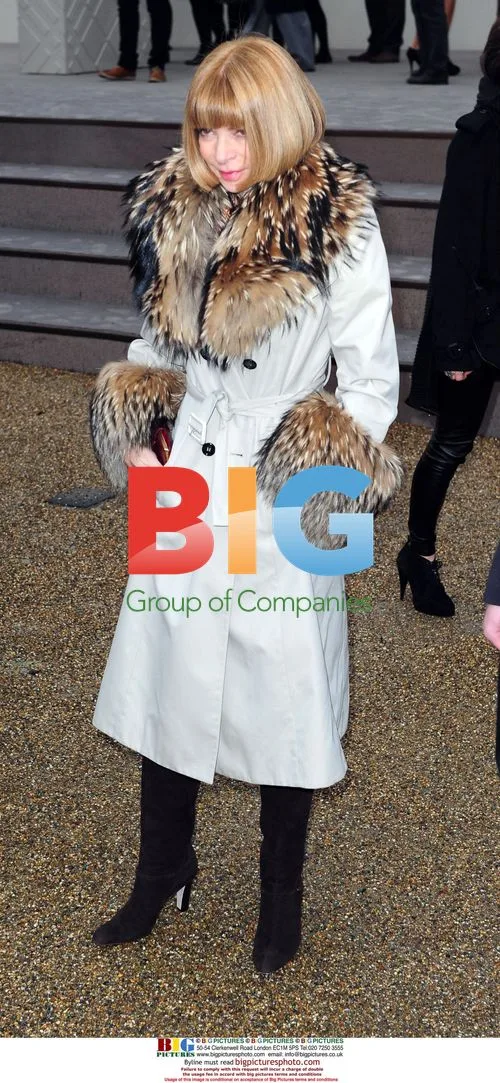 Anna Wintour at Burberry show