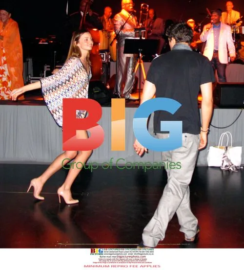 Orlando Bloom and Miranda Kerr at New Year's Eve Party