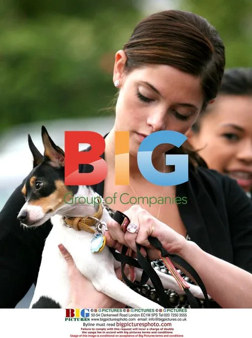 Ashley Greene with Dog in Beverly Hills