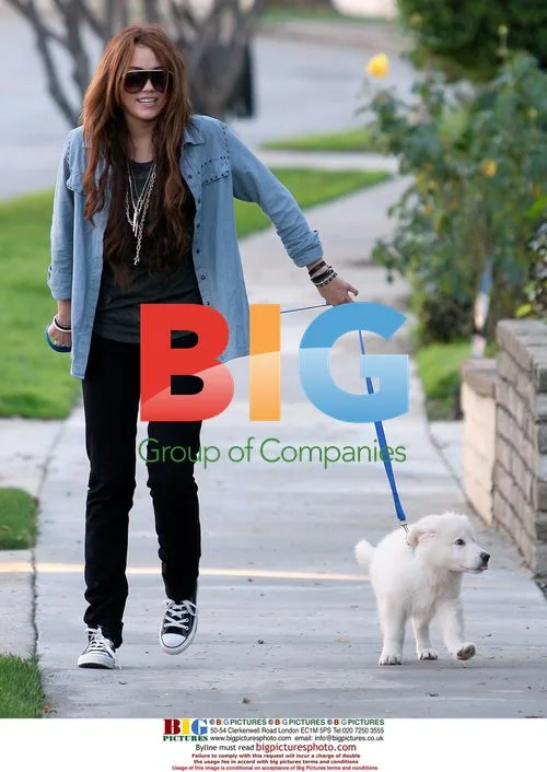 Miley & Billy Ray Cyrus Walk Dogs