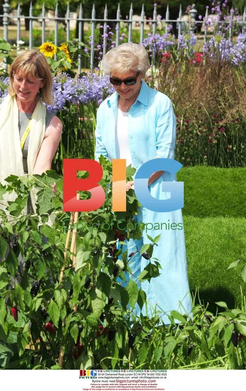 Angela Rippon at Hampton Court Flower Show