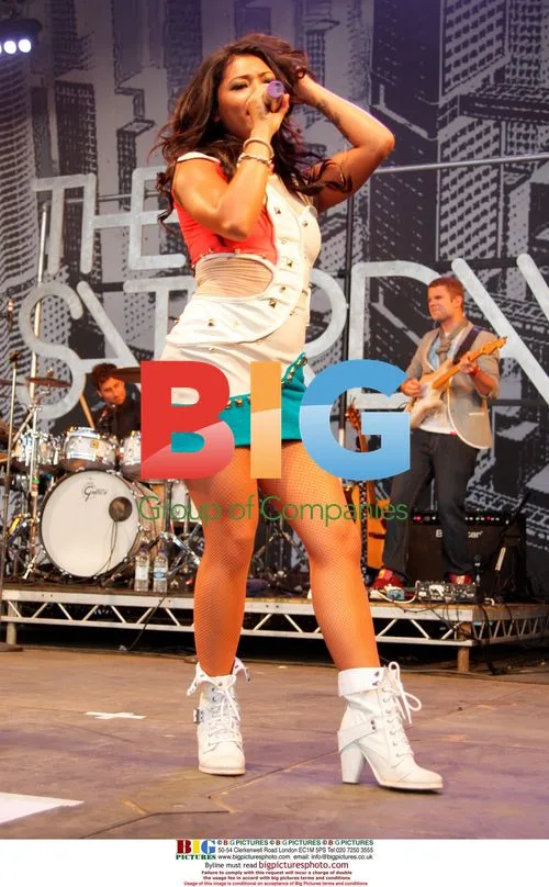 The Saturdays at Thetford Forest concert