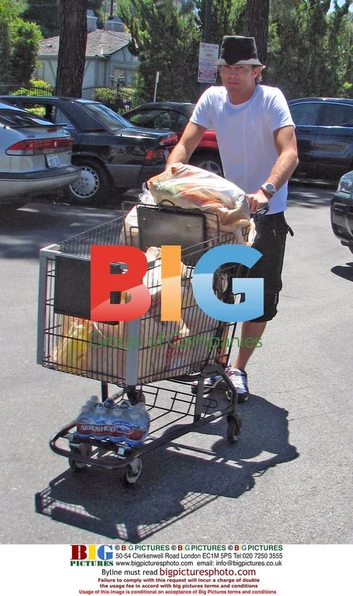 Larry Birkhead grocery shopping in LA