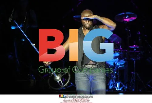 Seal Performing in Zadar, Croatia