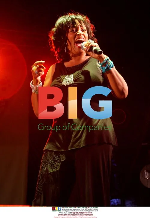 Sister Sledge at Midlands Music Festival