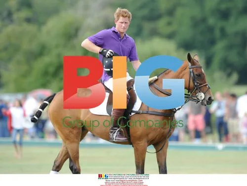 Prince Harry at The Asprey World Cup