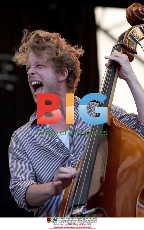 Ted Dwane of Mumford and Sons at Latitude Festival