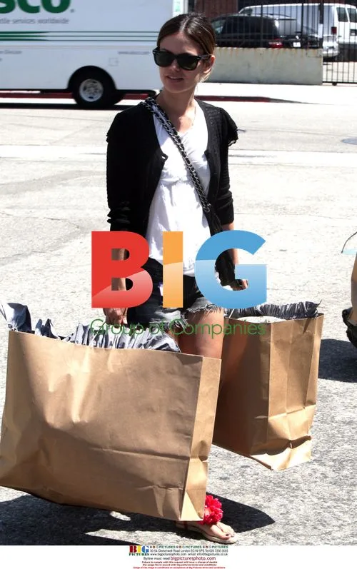 Rachel Bilson Shopping in LA