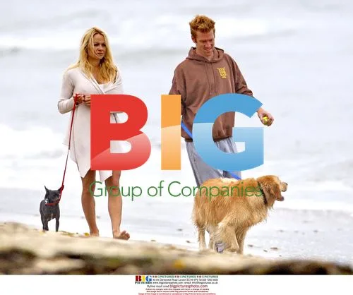 Pamela Anderson Strolls Malibu Beach with Brother