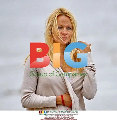 Pamela Anderson strolls with brother in Malibu