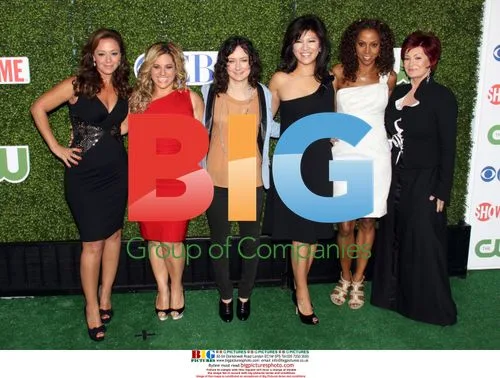 TV Stars at CBS Summer Press Tour Party