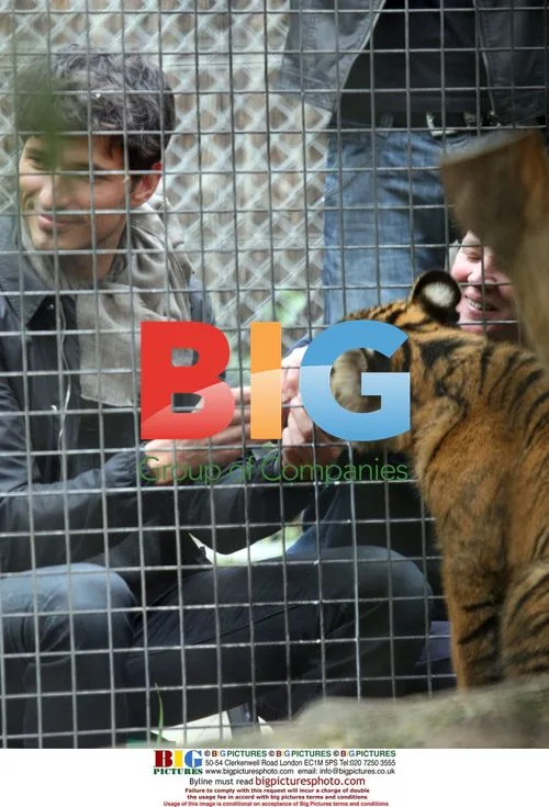 Kylie Minogue Feeds Tiger Cubs at Melbourne Zoo