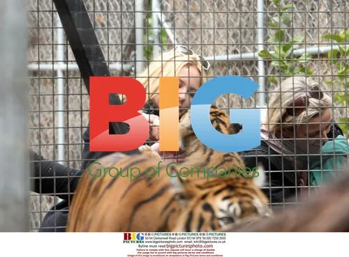 Kylie Minogue and Andres Velencoso at Melbourne Zoo