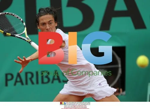Francesca Schiavone hits shot during French Open quarterfinal