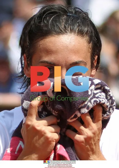 Schiavone Hits Shot at French Open Semifinal
