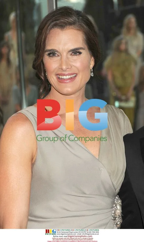 Brooke Shields at 2010 CFDA Awards