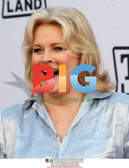 Candice Bergen at AFI Lifetime Achievement Awards
