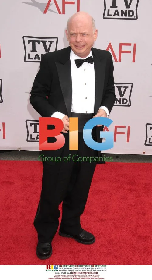 Wallace Shawn at AFI Honoring Mike Nichols