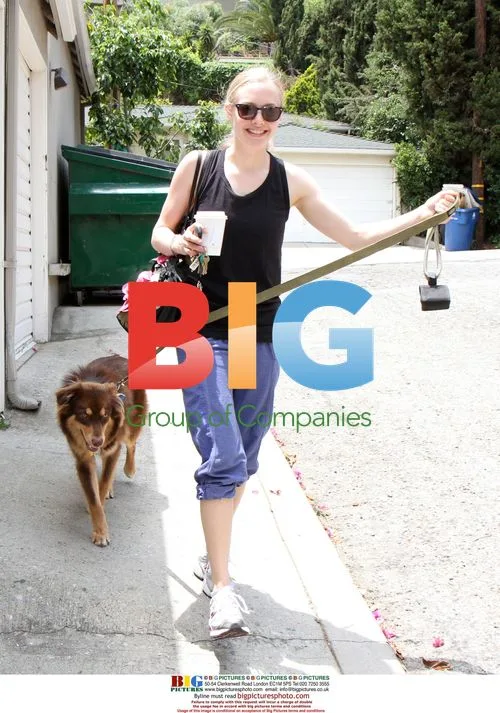 Amanda Seyfried walks dog Finn in Hollywood