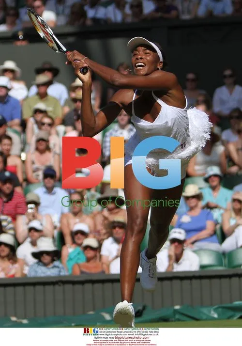 Venus Williams at Wimbledon 2010