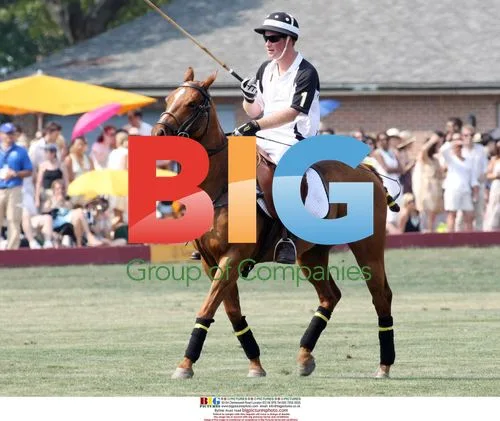 Prince Harry at Veuve Clicquot Polo Classic