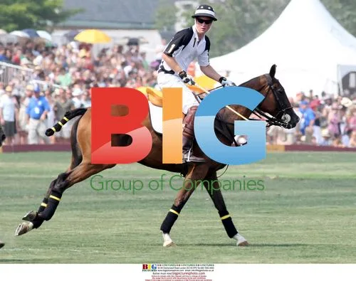 Prince Harry at Veuve Clicquot Polo Classic